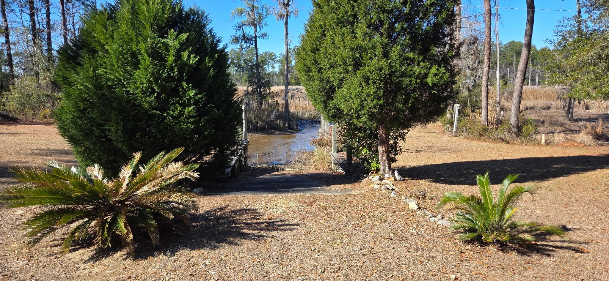 59 Fiddlers Loop Georgetown, SC 29440 - Photo 3 of 3