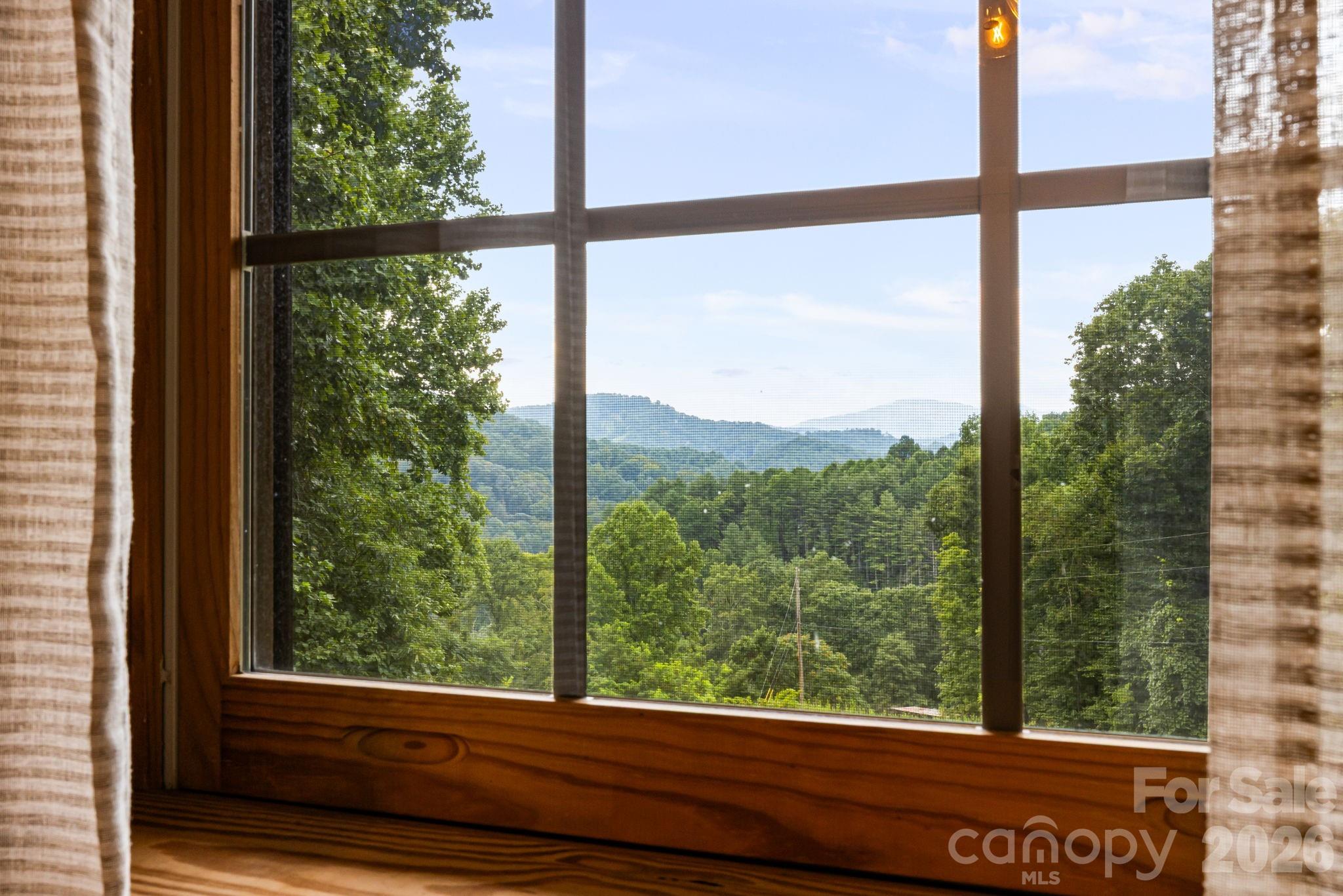 515 Raccoon Branch Road Green Mountain, NC 28740 - Photo 33 of 48 Gallery Image 33