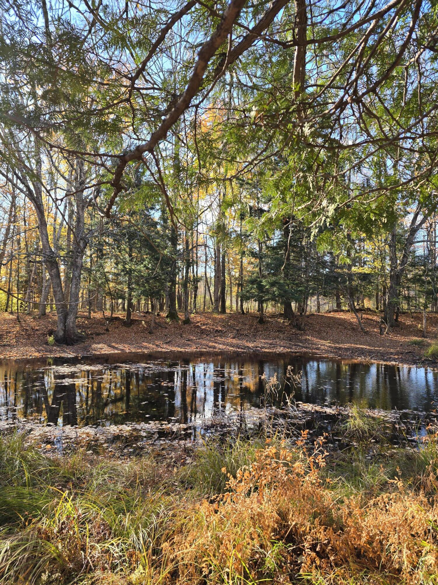 53 Back Road Abbot, ME 04406 - Photo 43 of 73 20251017_093417