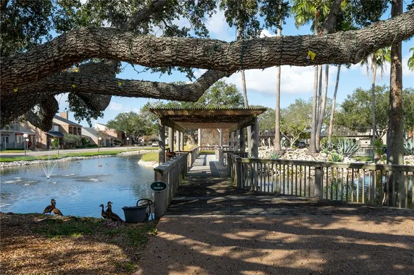a view of a lake with boats and palm trees