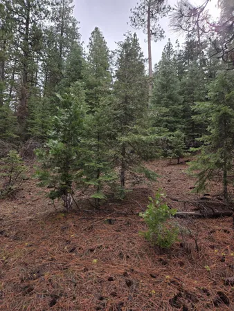 $15,000 | 0 East Yak / Highway, Unit LOT 1, Bonanza, OR 97623