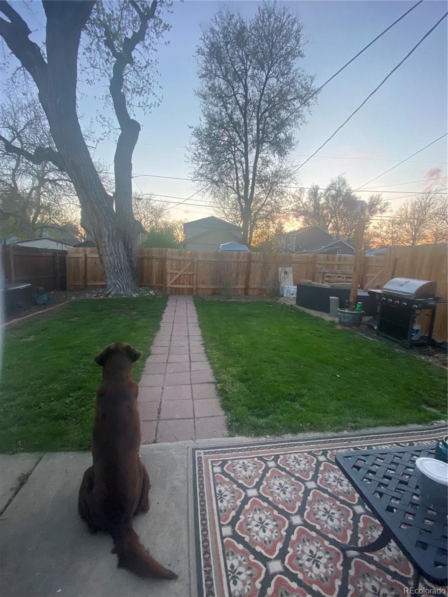 2537 Ames Street Edgewater, CO 80214 - Photo 13 of 15