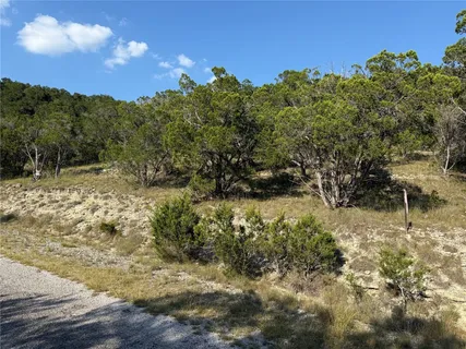 a view of a yard with a tree