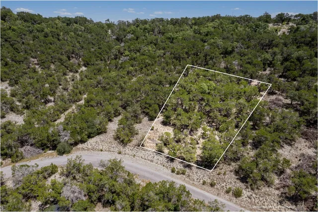 a view of a forest with a forest