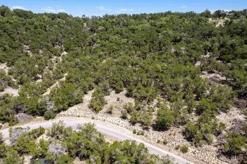 a view of a forest with a street