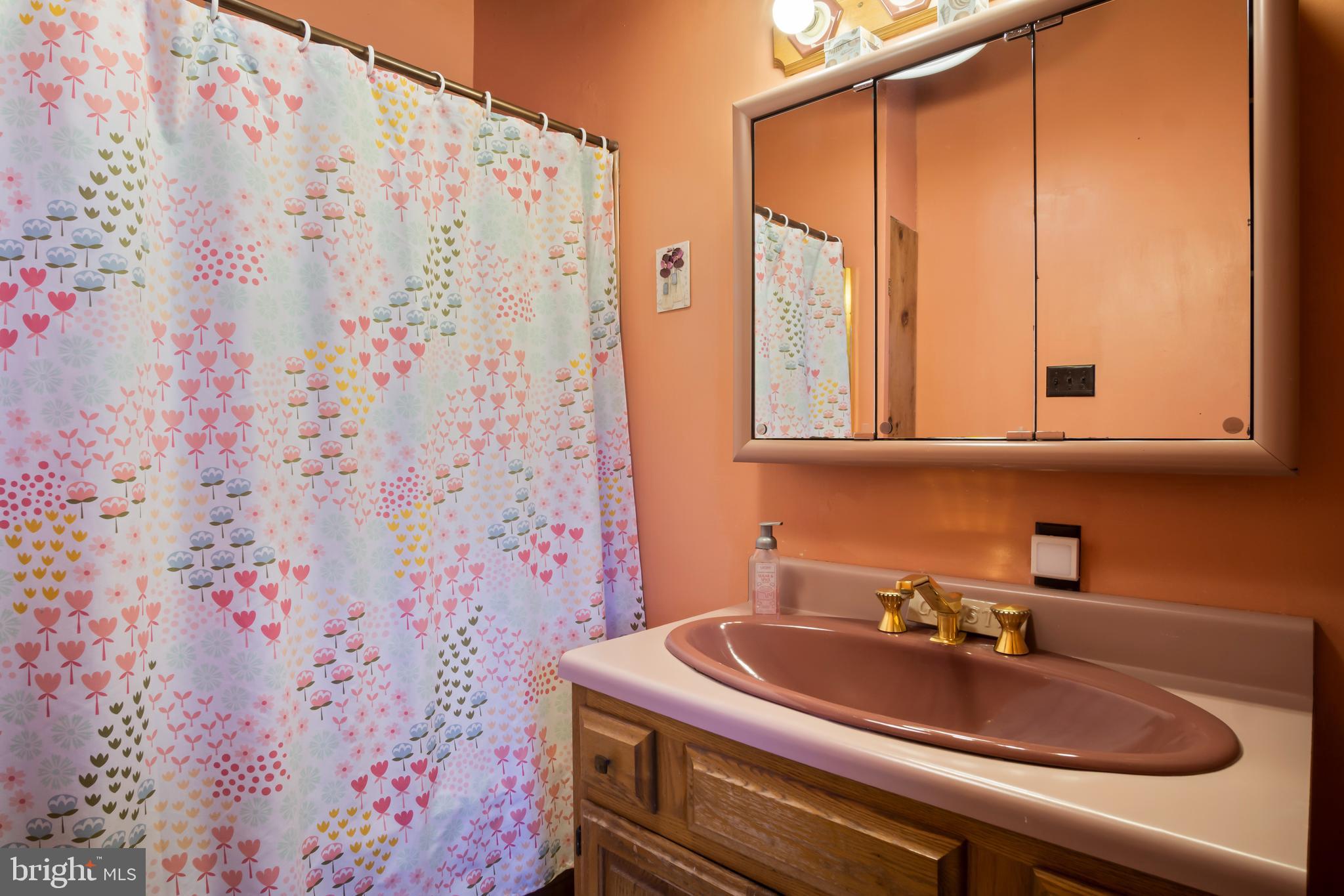 1402 Hoffmaster Road Knoxville, MD 21758 - Photo 17 of 50 Full bath