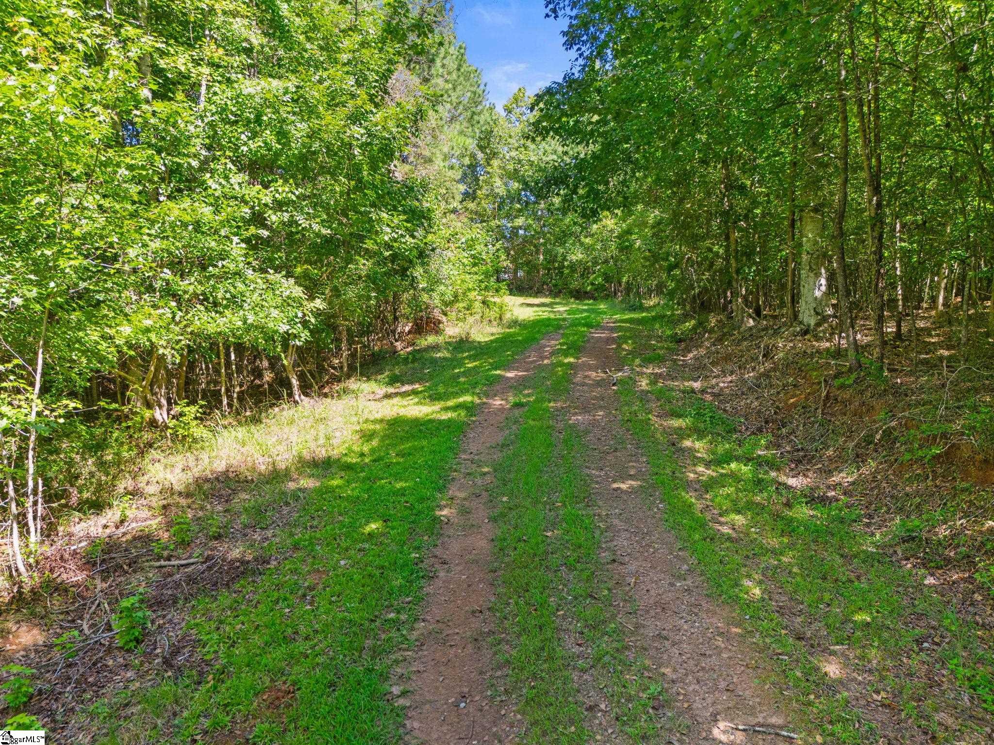 388 Mountain Creek Road Honea Path, SC 29654 - Photo 33 of 50