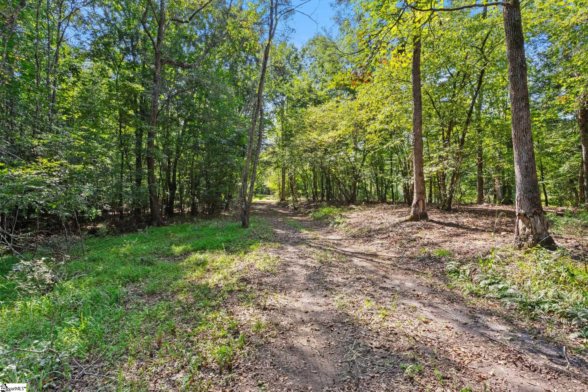 388 Mountain Creek Road Honea Path, SC 29654 - Photo 38 of 50
