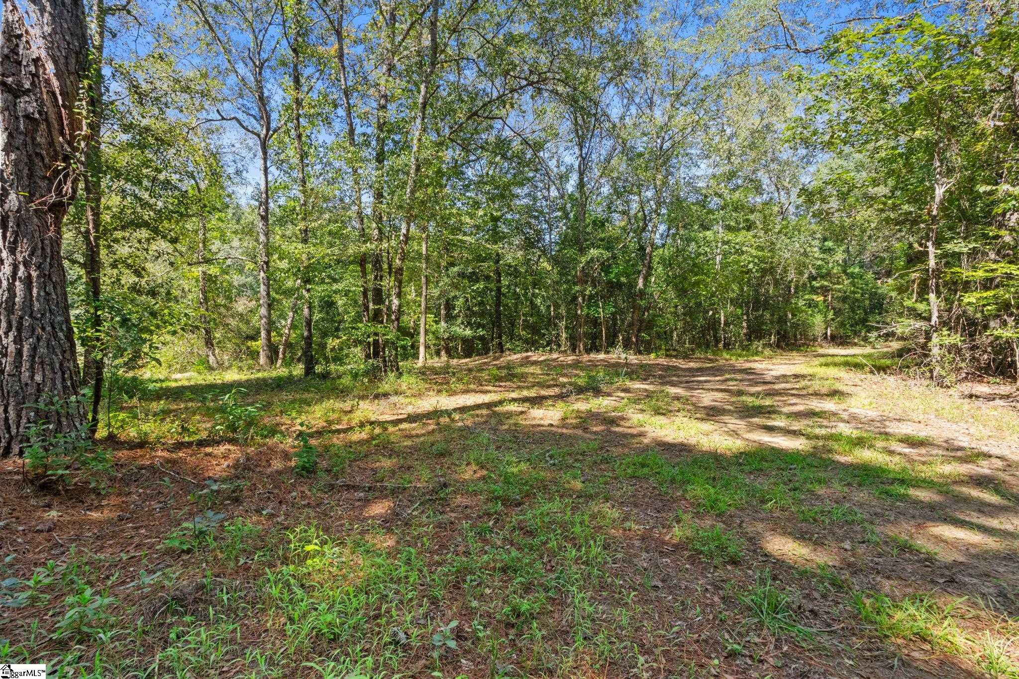 388 Mountain Creek Road Honea Path, SC 29654 - Photo 41 of 50