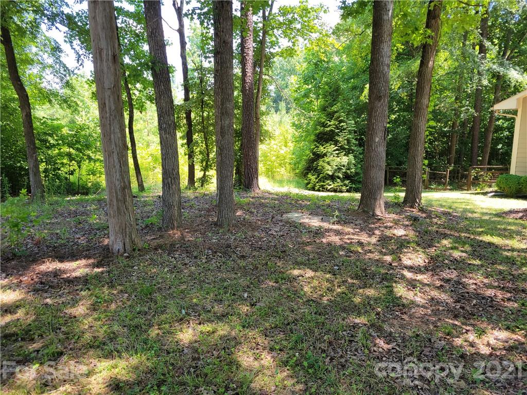 9640 Surrey Road Mint Hill, NC 28227 - Photo 3 of 18 a view of a forest with trees in the background