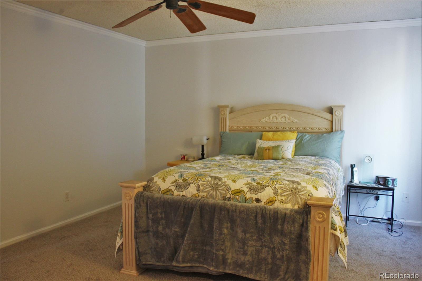 9502 South Castle Ridge Circle Highlands Ranch, CO 80129 - Photo 11 of 15