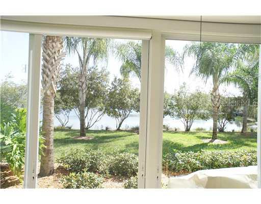 a view of a trees in a yard