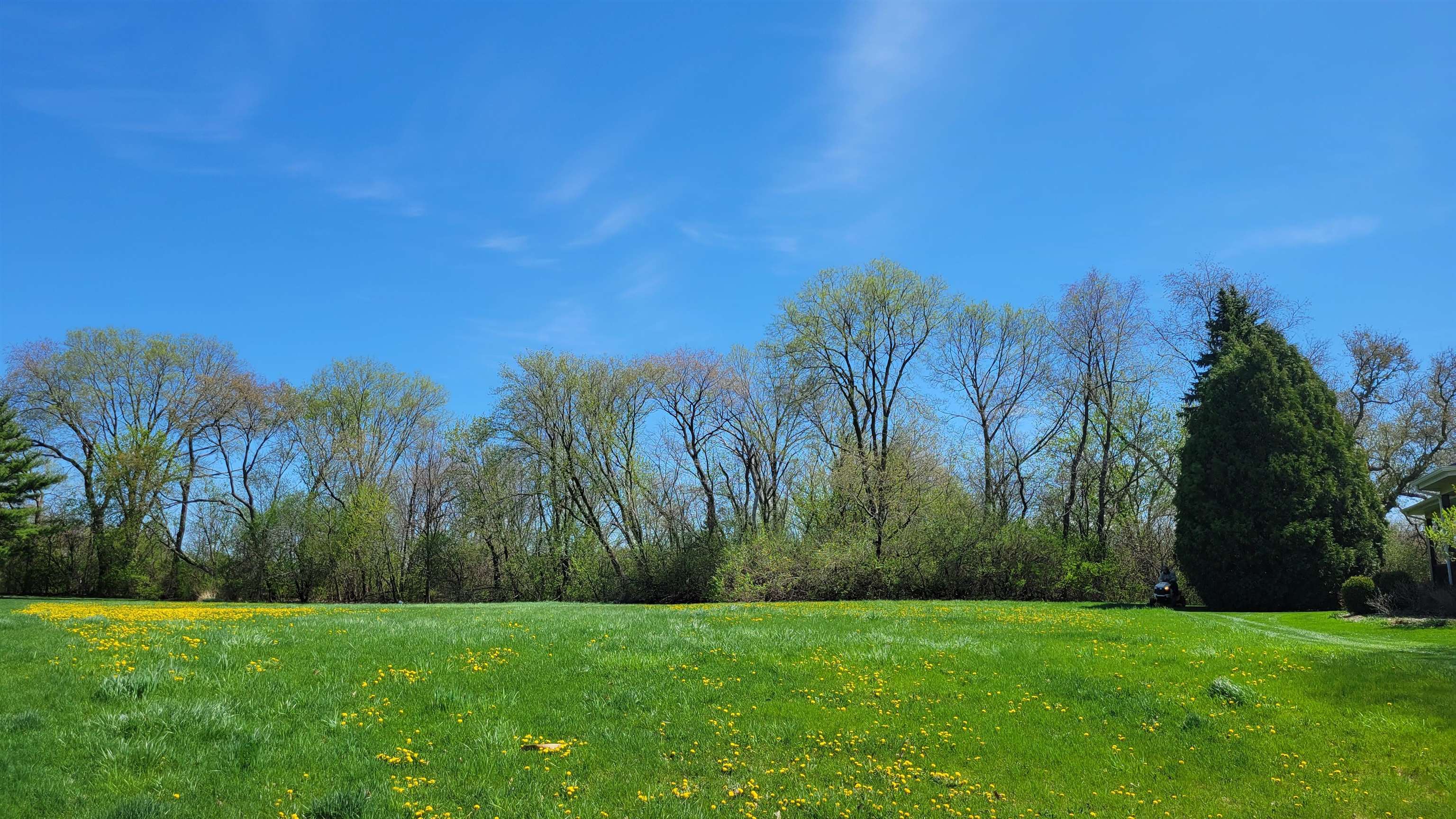 6485 Shiloh Close, Unit CLOSE Rockford, IL 61107 - Photo 3 of 9 a view of a grassy field with trees in the background