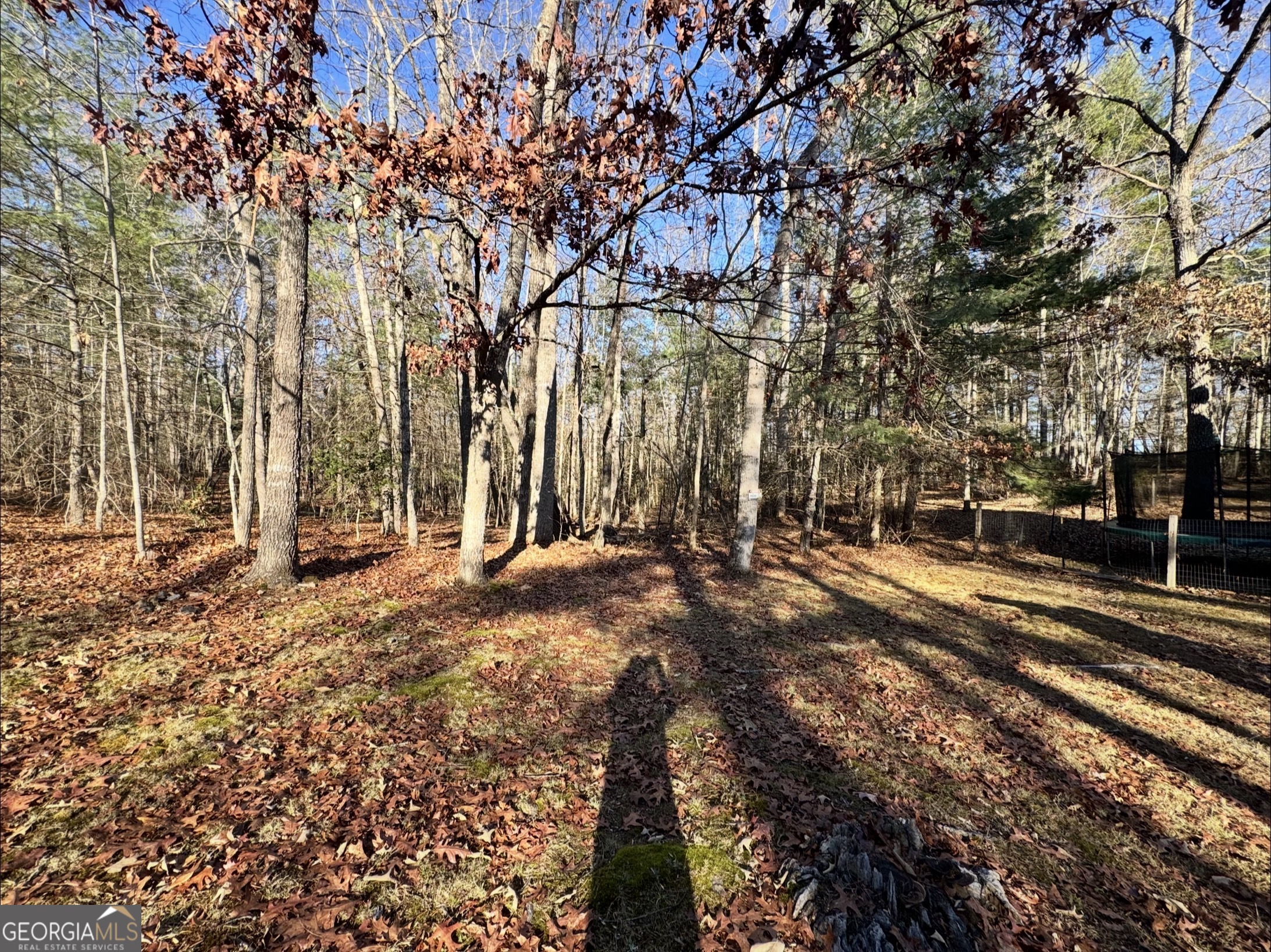 338 Honaker Road Blairsville, GA 30512 - Photo 37 of 38