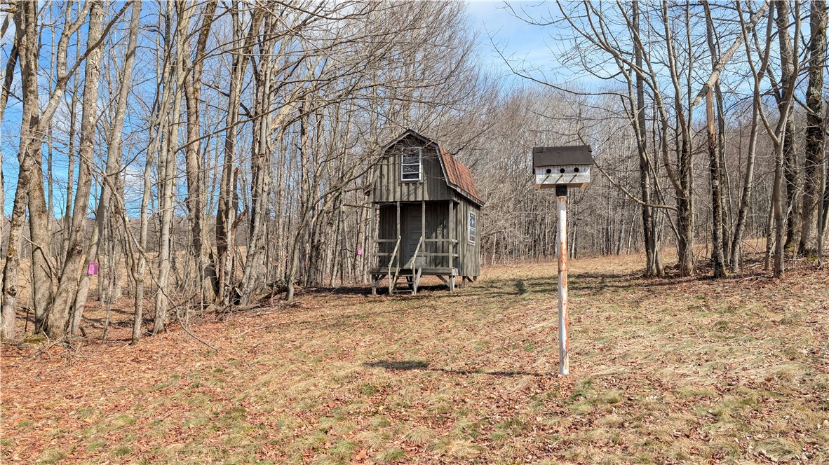 858 Randall Hill Road Sidney Center, NY 13839 - Photo 13 of 48