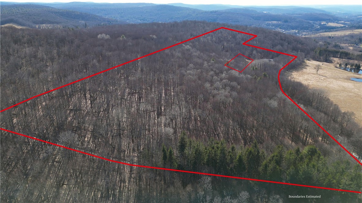 858 Randall Hill Road Sidney Center, NY 13839 - Photo 18 of 48