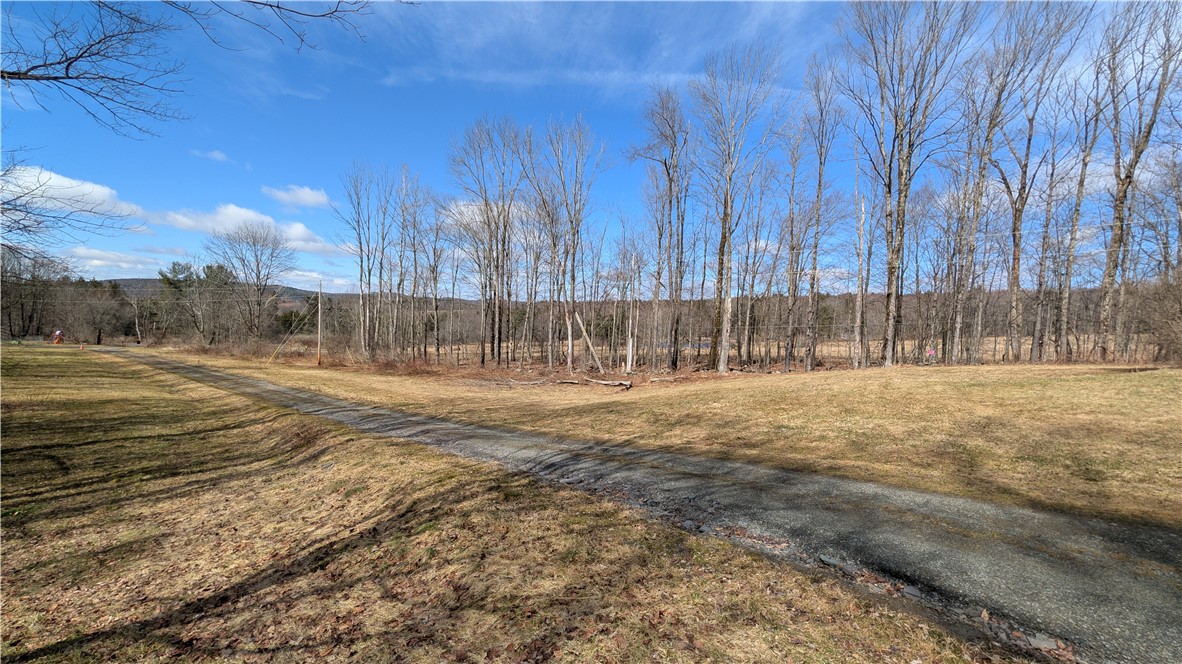 858 Randall Hill Road Sidney Center, NY 13839 - Photo 19 of 48