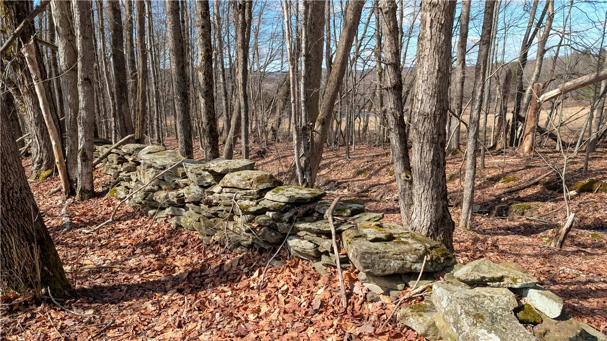 858 Randall Hill Road Sidney Center, NY 13839 - Photo 42 of 48