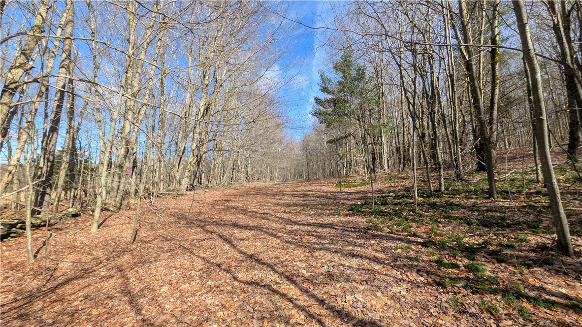 858 Randall Hill Road Sidney Center, NY 13839 - Photo 43 of 48