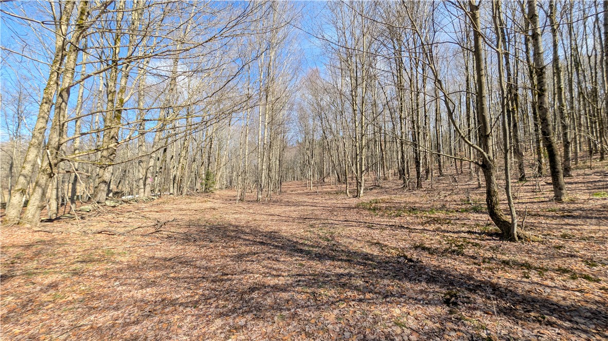 858 Randall Hill Road Sidney Center, NY 13839 - Photo 44 of 48