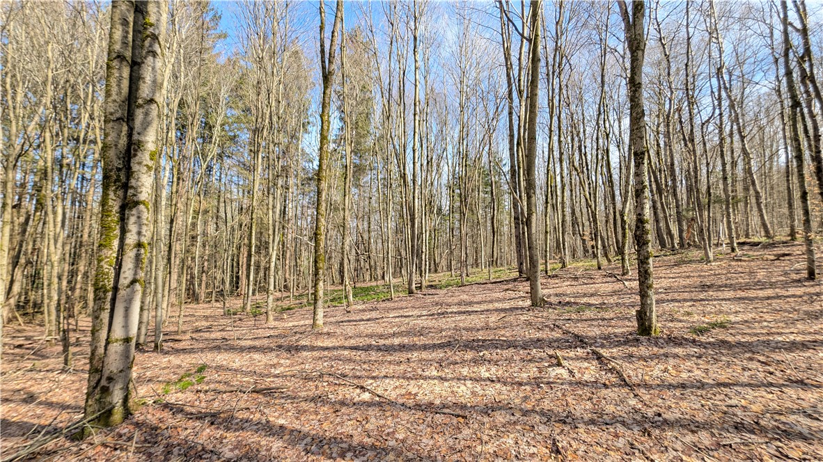 858 Randall Hill Road Sidney Center, NY 13839 - Photo 45 of 48