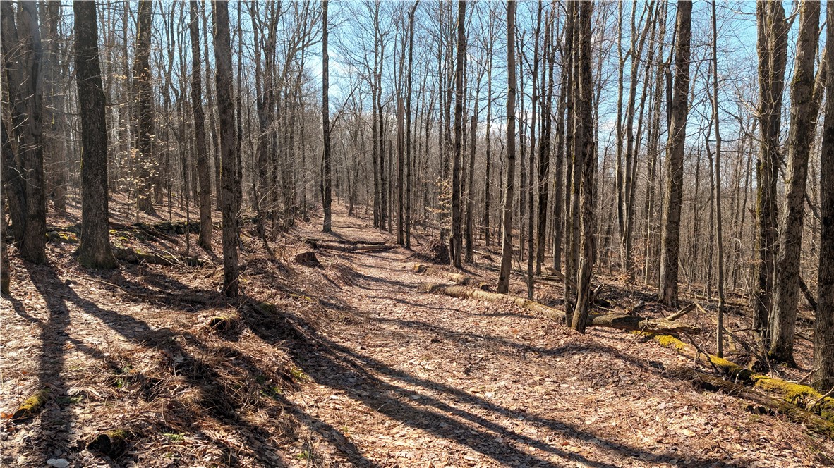 858 Randall Hill Road Sidney Center, NY 13839 - Photo 46 of 48