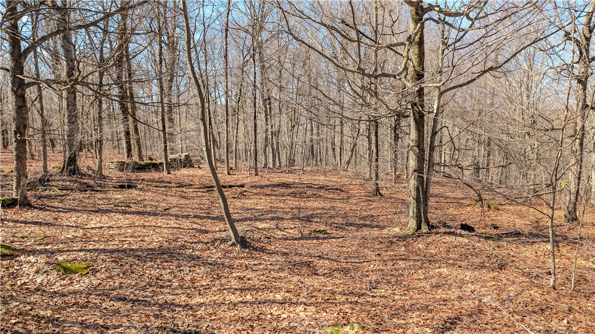 858 Randall Hill Road Sidney Center, NY 13839 - Photo 47 of 48