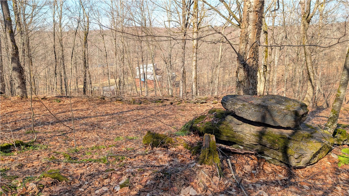 858 Randall Hill Road Sidney Center, NY 13839 - Photo 48 of 48