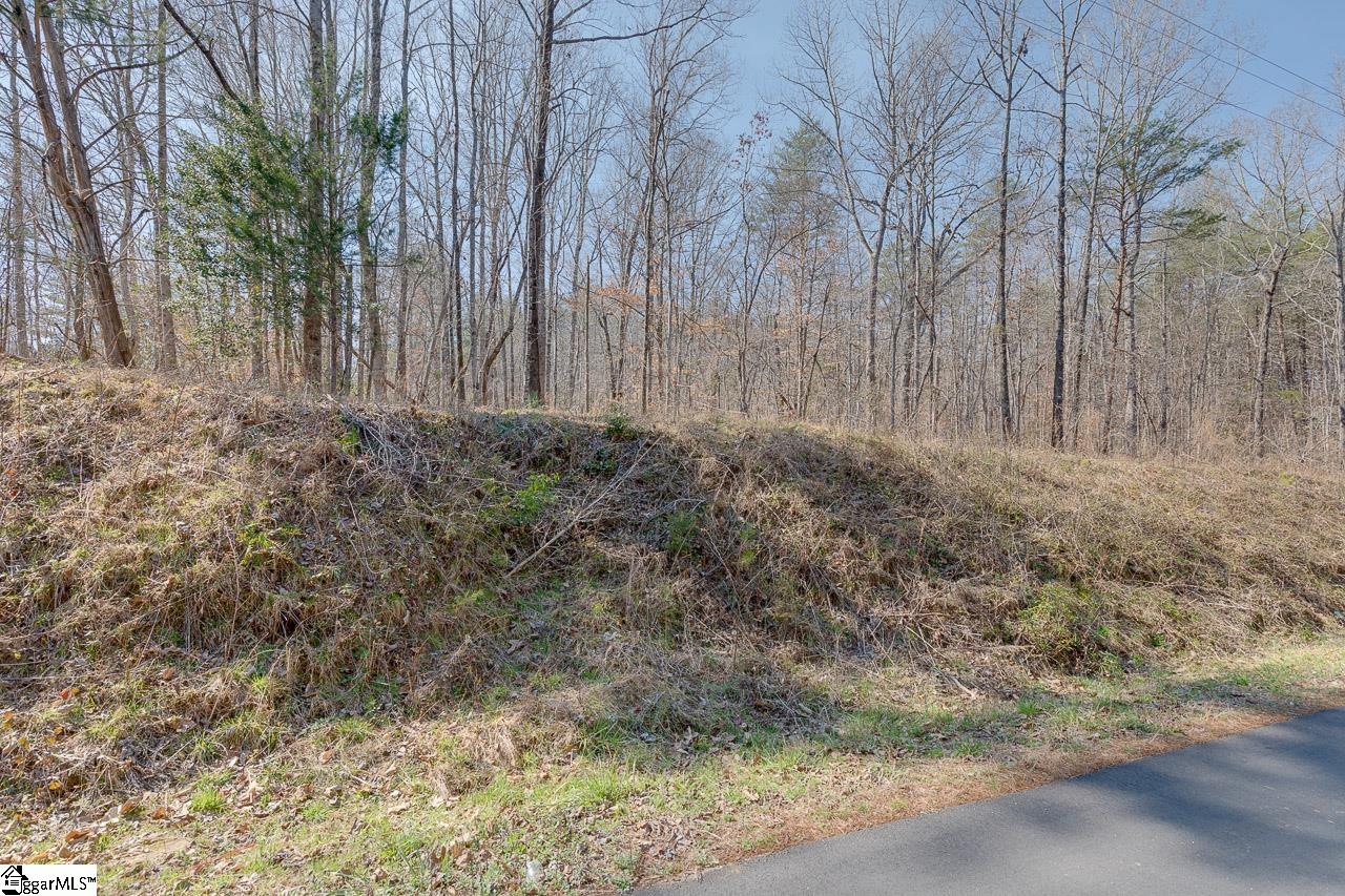 192 North Mt Tabor Church Road Easley, SC 29640 - Photo 15 of 20 Gallery Image 15