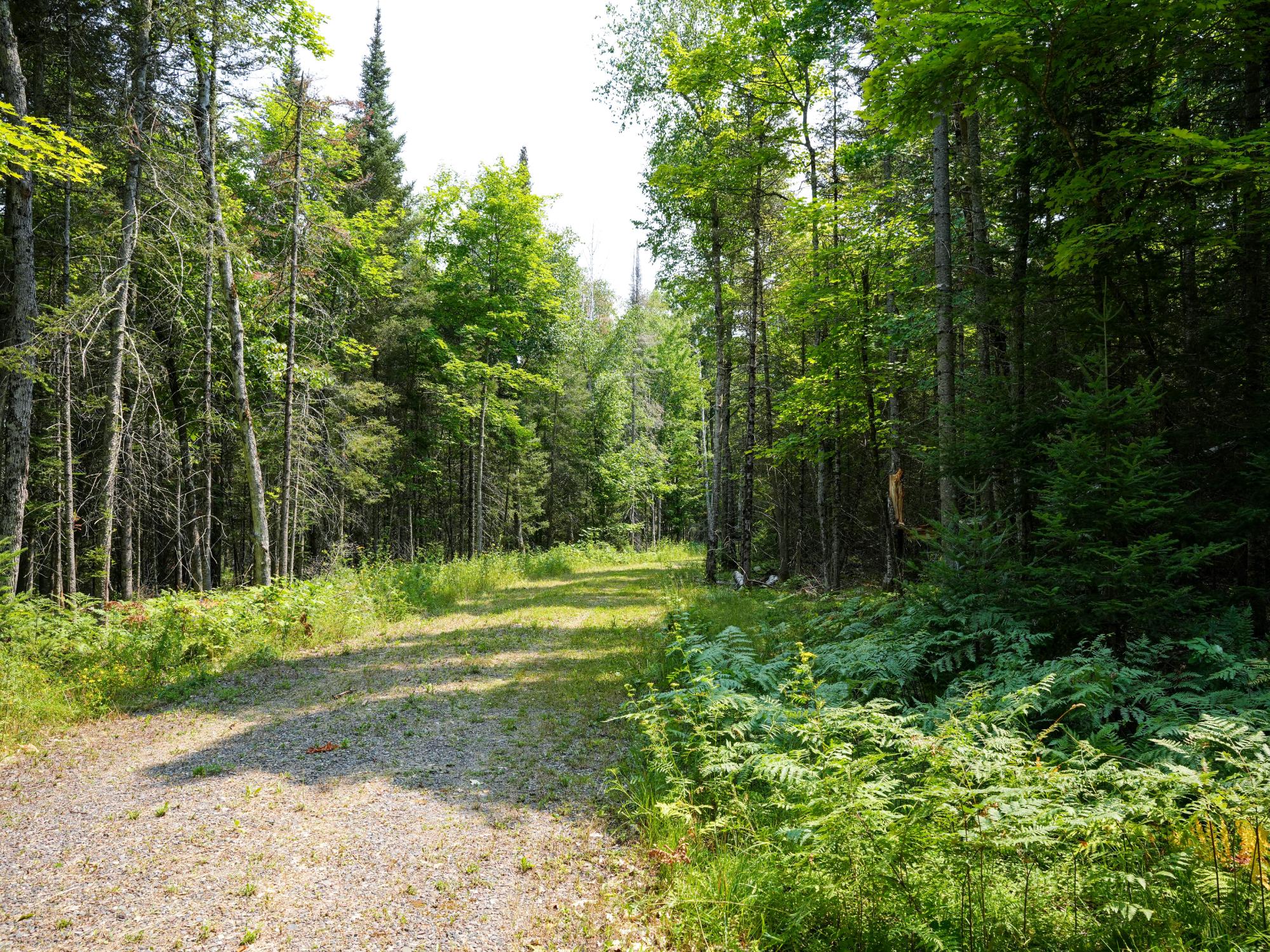 6-8 Hunters Ridge Road Phelps, WI 54554 - Photo 21 of 32