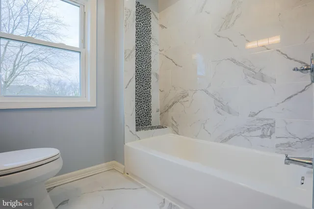 a bathroom with a toilet and a bathtub