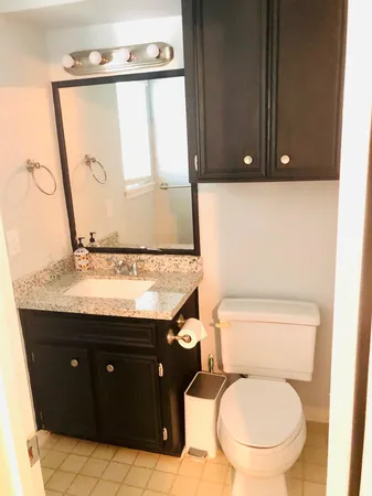 $2,400 | 29021 Cherrywood Lane, Shenandoah, TX 77381