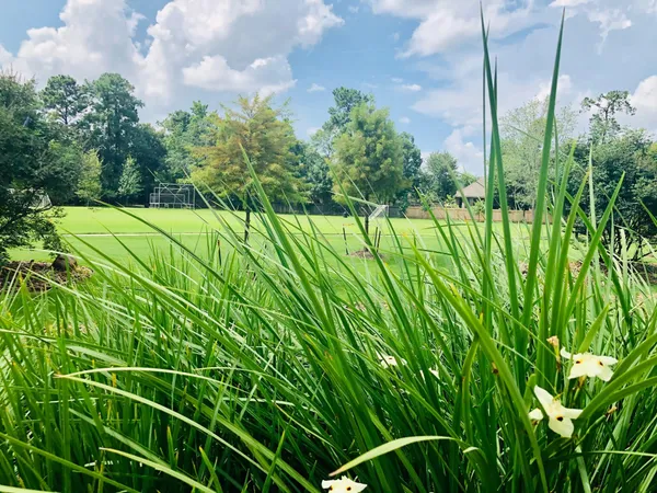 $2,400 | 29021 Cherrywood Lane, Shenandoah, TX 77381