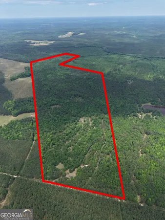 $1,000,000 | 715 Fulsome Creek Road, Sparta, GA 31087