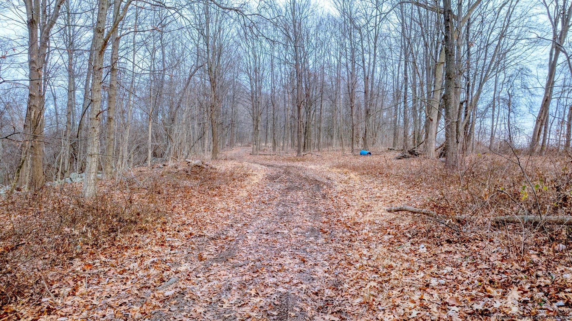 Tbd Hoppenstedt Road Wallkill, NY 12589 - Photo 8 of 12 Photo 8