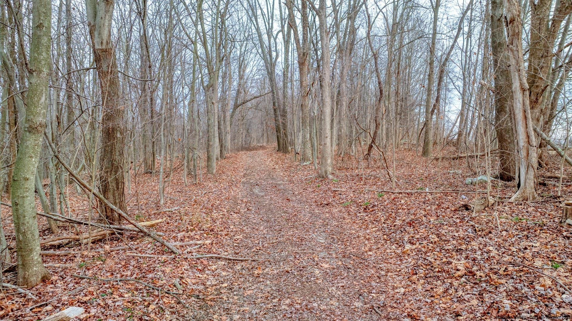 Tbd Hoppenstedt Road Wallkill, NY 12589 - Photo 9 of 12 Photo 9