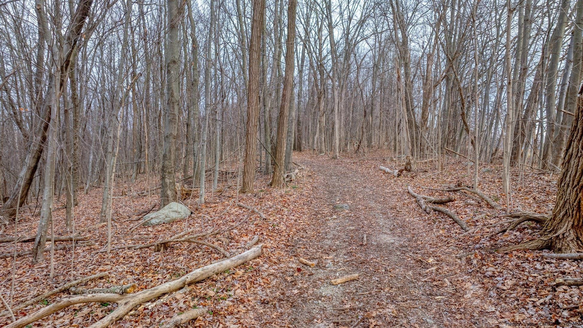 Tbd Hoppenstedt Road Wallkill, NY 12589 - Photo 10 of 12 Photo 10