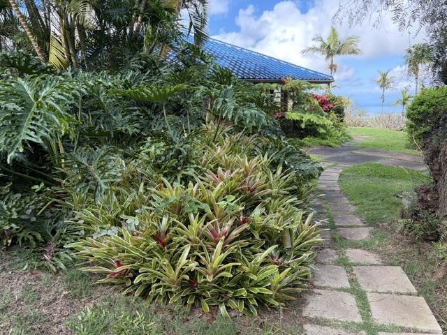 767 Holopuni Road Kula, HI 96790 - Photo 1 of 9