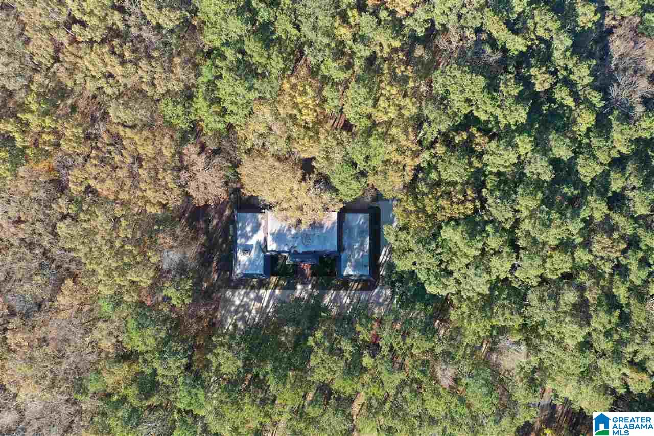 1745 King Mountain Road Gadsden, AL 35901 - Photo 5 of 50