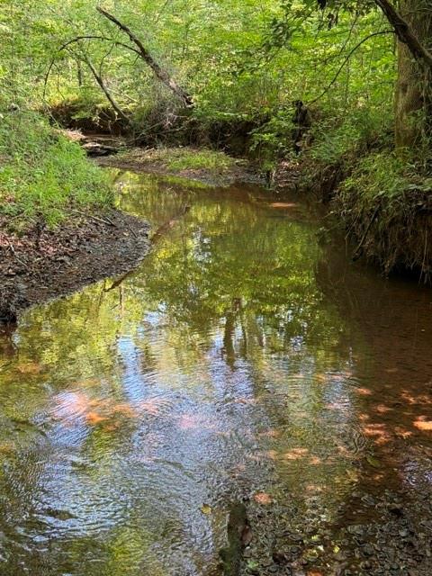 949 Ford Road Homer, LA 71040 - Photo 16 of 16