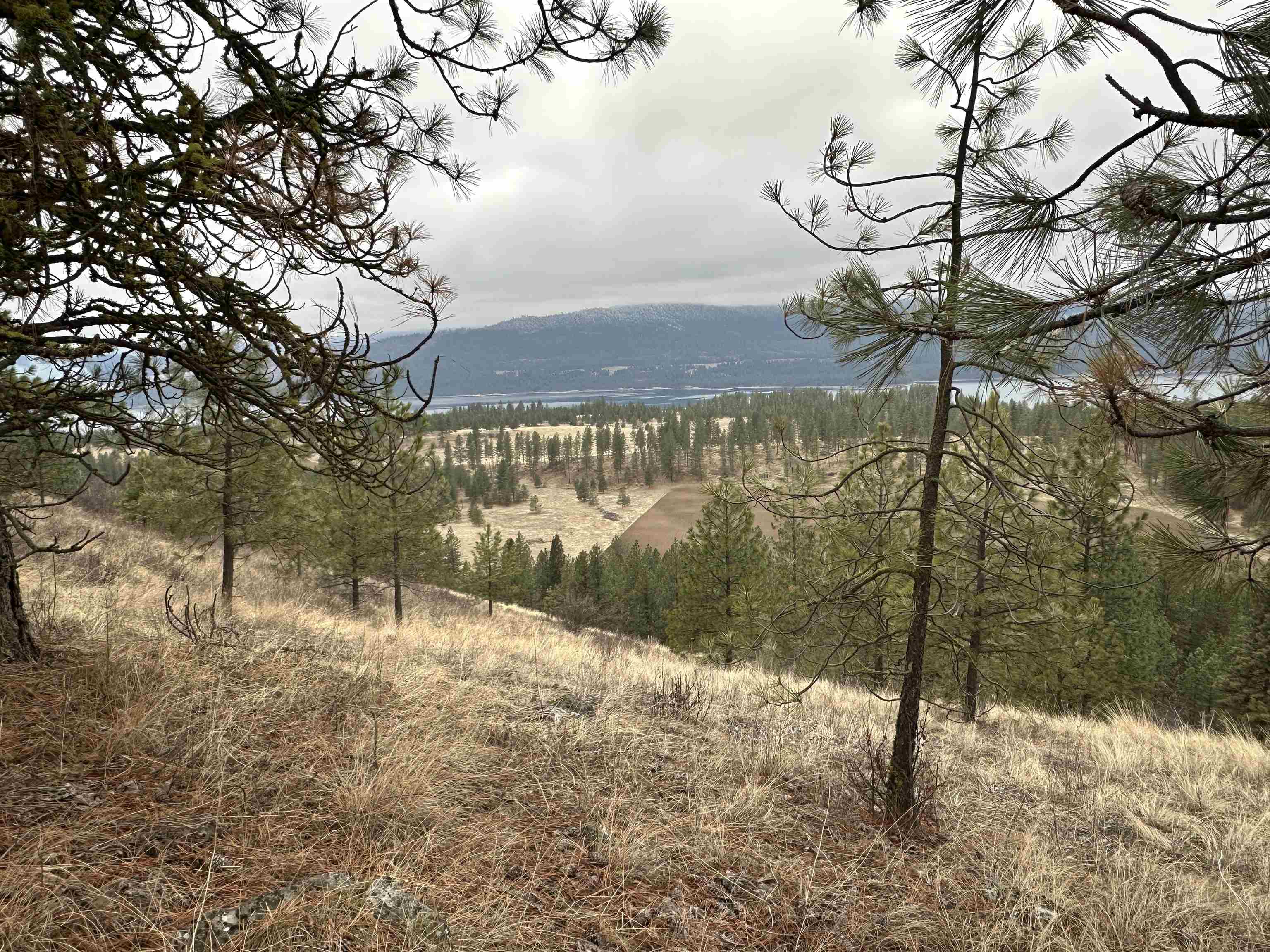 3250 Daisy Mine Road Rice, WA 99167 - Photo 1 of 14 Gallery Image 1