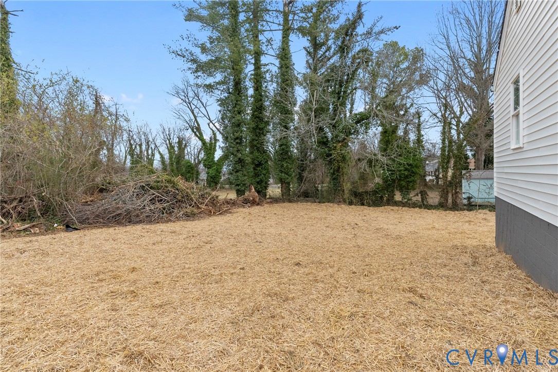 702 Irving Street Farmville, VA 23901 - Photo 33 of 41