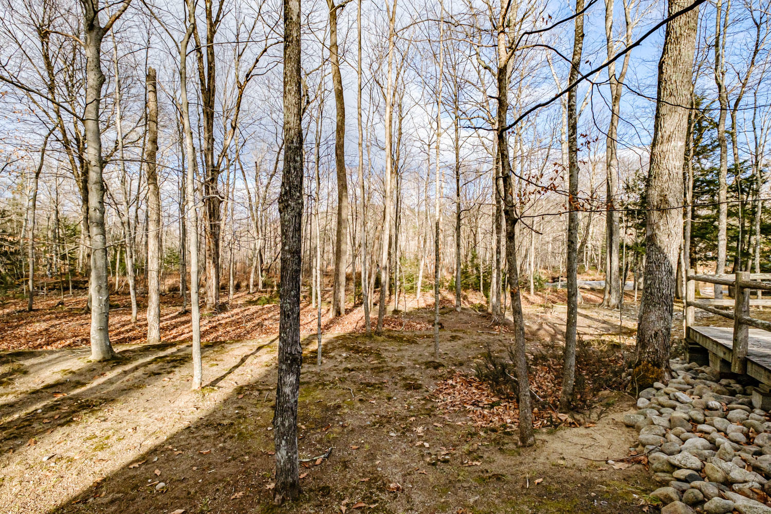 8 Deer Hill Road Stow, ME 04037 - Photo 10 of 45 20201118gp-64010