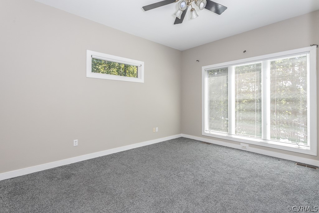 1520 Lake Randolph Road Powhatan, VA 23139 - Photo 16 of 45 Gallery Image 16