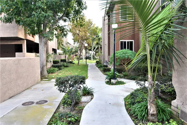 a view of a back yard with plants