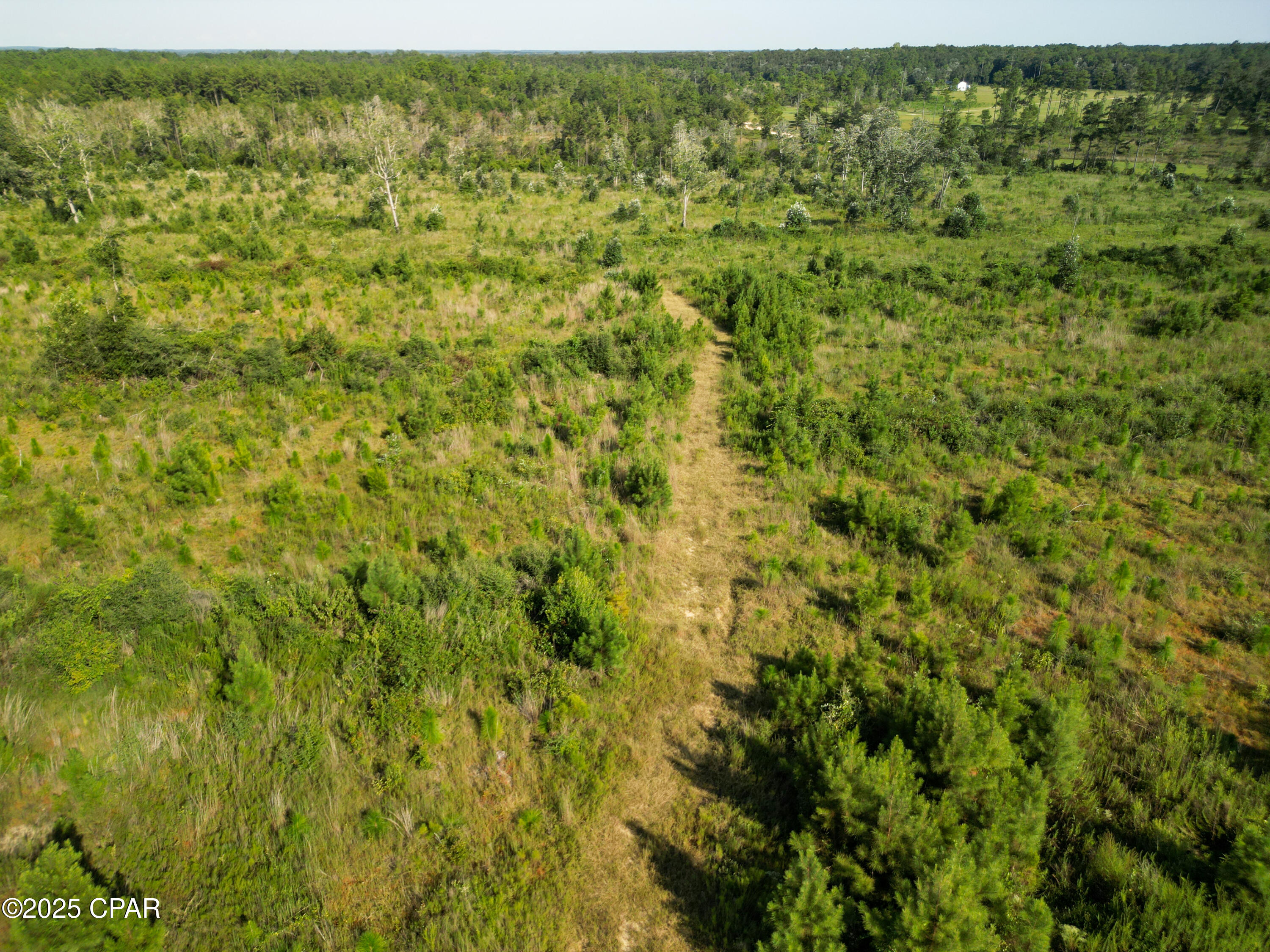 East Side Lake Victor Road Westville, FL 32464 - Photo 12 of 18