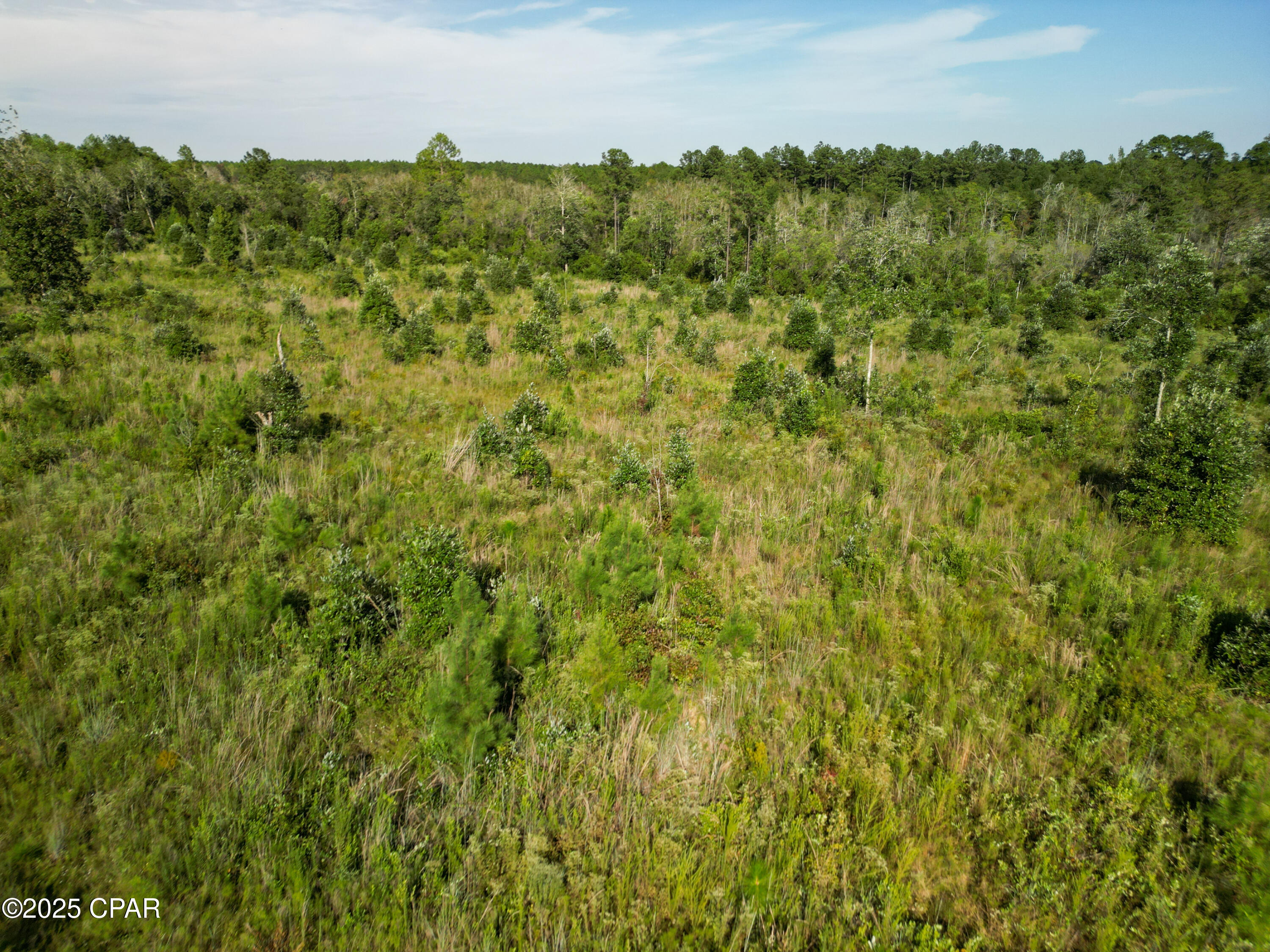 East Side Lake Victor Road Westville, FL 32464 - Photo 13 of 18