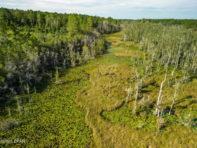 $275,000 | East Side Lake Victor Road, Westville, FL 32464