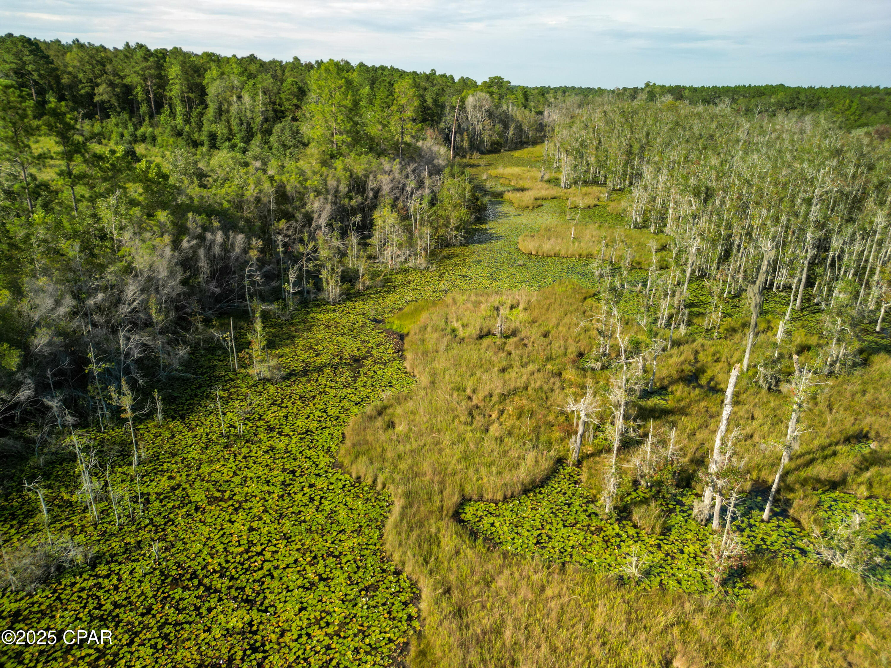 East Side Lake Victor Road Westville, FL 32464 - Photo 14 of 18