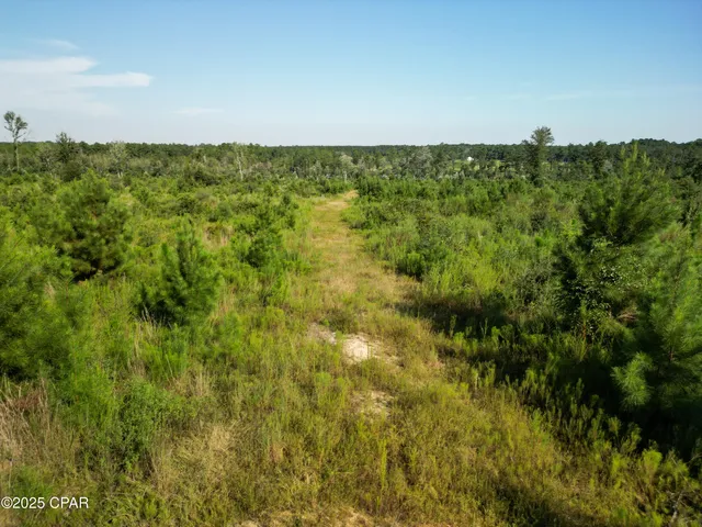 $275,000 | East Side Lake Victor Road, Westville, FL 32464